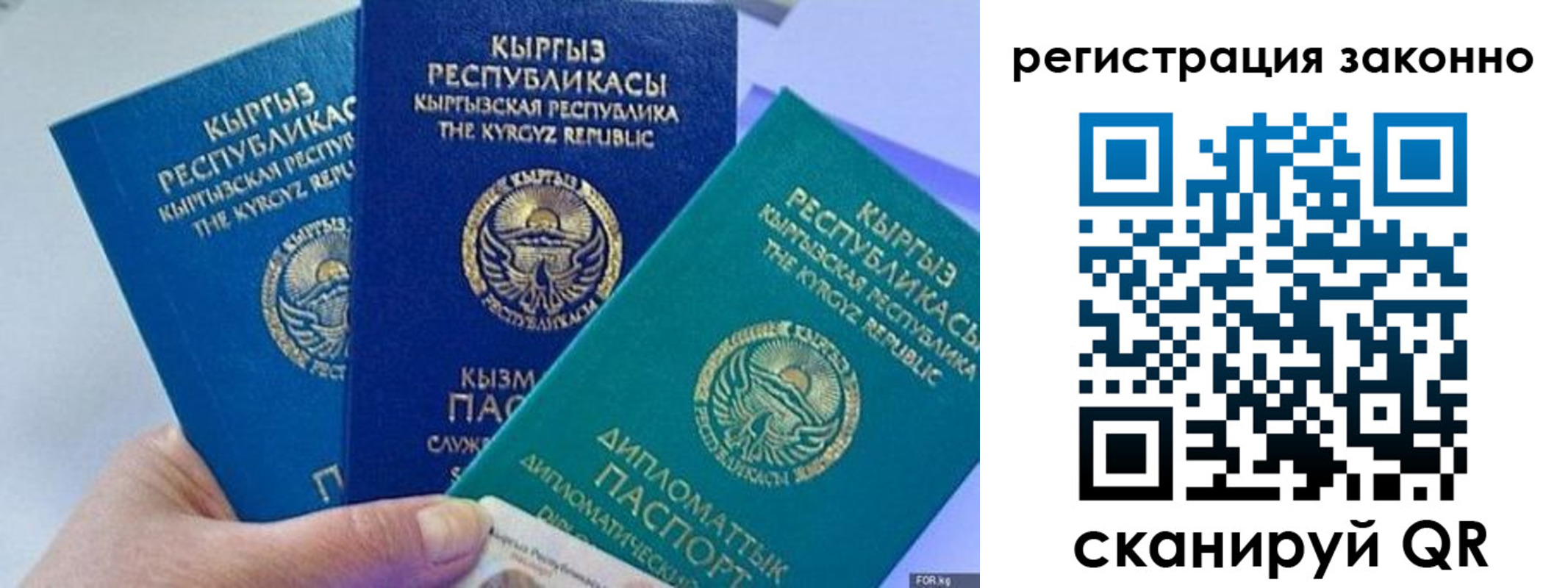 временная регистрация гарантия в Лыткарино